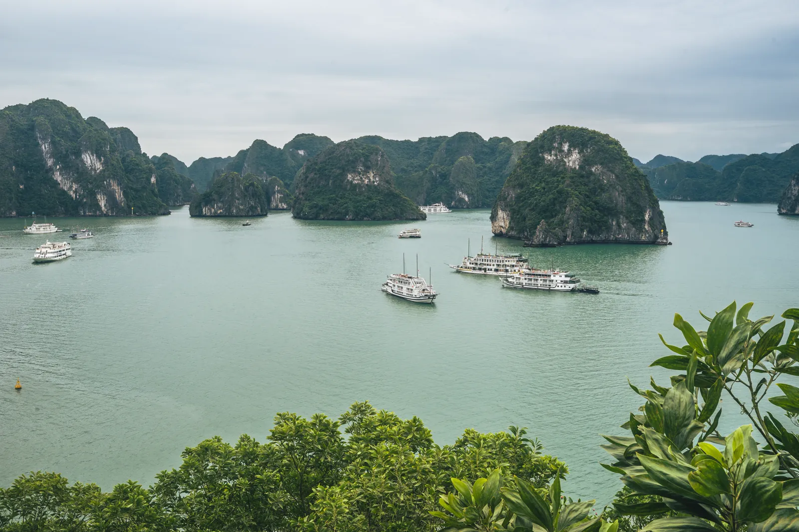 The Vietnamese passport in 2026: where can you go visa-free?
